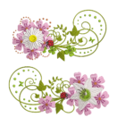 Daisy and Lily Swirl Set