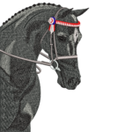 Champion Show Horse