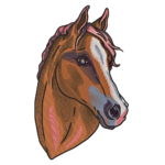 Chestnut Mare Portrait