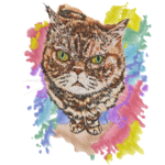 Grumpy Cat on Color Splash