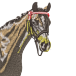 Dapple Grey Show Horse