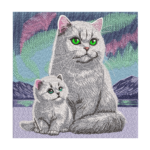 Grey Cat and Kitten Northern Lights